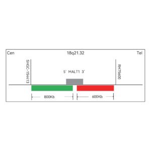 Sonda FISH Evolume™ MALT1 Break Apart