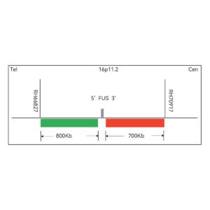 Sonda FISH Evolume™ FUS Break Apart FISH