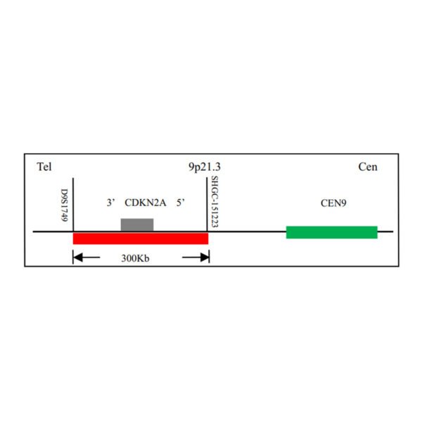 Sonda FISH Evolume™ CDKN2A/CEN9 - EasyPath