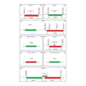 Sonda FISH Evolume™ Síndrome Mielodisplásica EasyPath