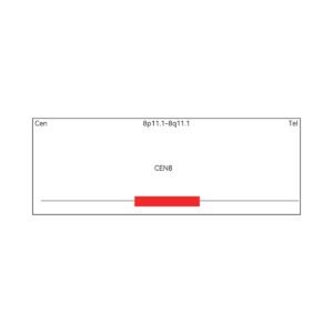 Sonda Fish Evolume EasyPath Centromero do Cromossomo 8