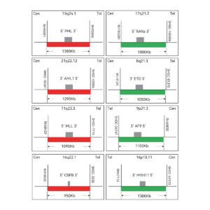 Sonda FISH Evolume™ Leucemia Mielocítica Aguda EasyPath